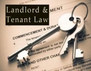 What Are the Duties of a Landlord in Philadelphia